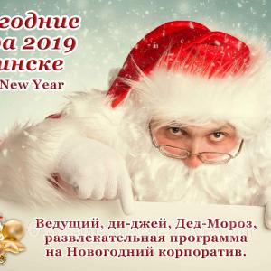 Выполню Дед-Мороз на корпоратив в Минске и РБ