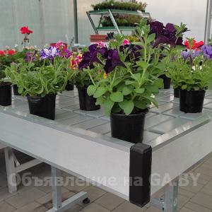 Выполню Вегетационные столы для выращивания рассады - GA.BY