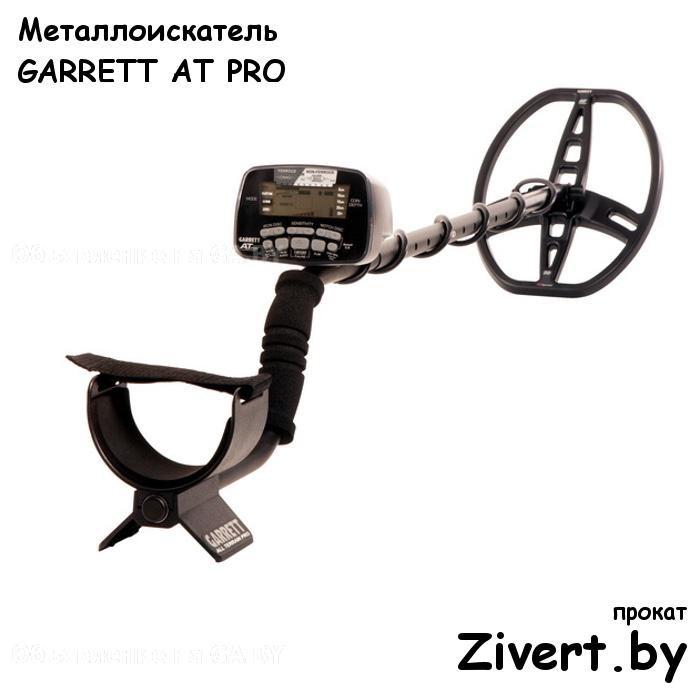 Выполню Аренда подводного металлоискателя в Минске - GA.BY