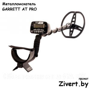 Выполню Аренда подводного металлоискателя в Минске