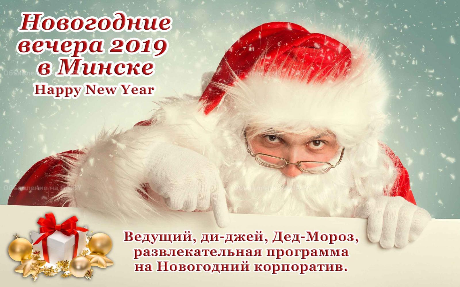 Выполню Дед-Мороз на корпоратив в Минске и РБ - GA.BY