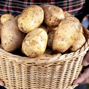 Выполню Доставка картофеля и других овощей в Минске