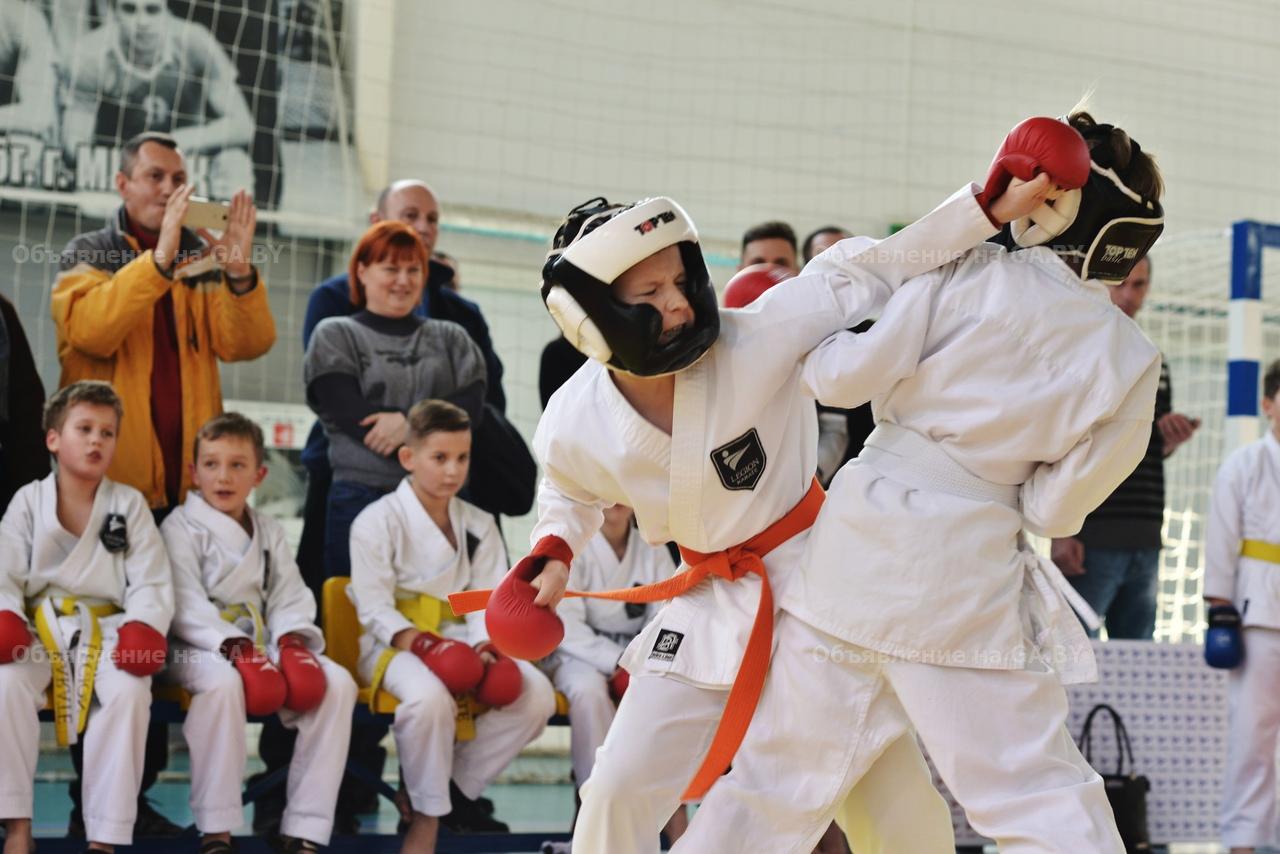 Выполню Лучшие виды борьбы для мальчиков и девочек в Минске - GA.BY