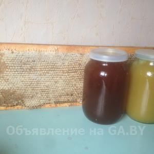 Продам Мед пчелиный, прополис, перга