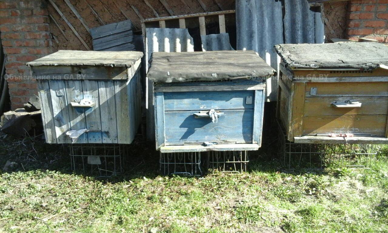Продам Пчелиные домики, корпуса - GA.BY