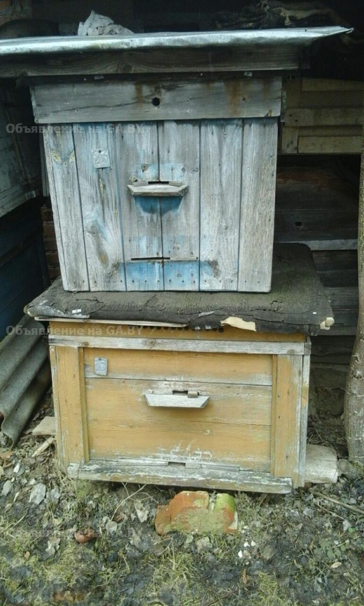 Продам Пчелиные домики, корпуса - GA.BY