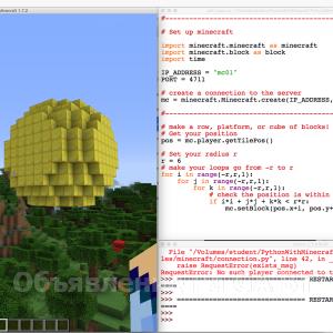 Выполню Программирование в Minecraft на языке Python для детей
