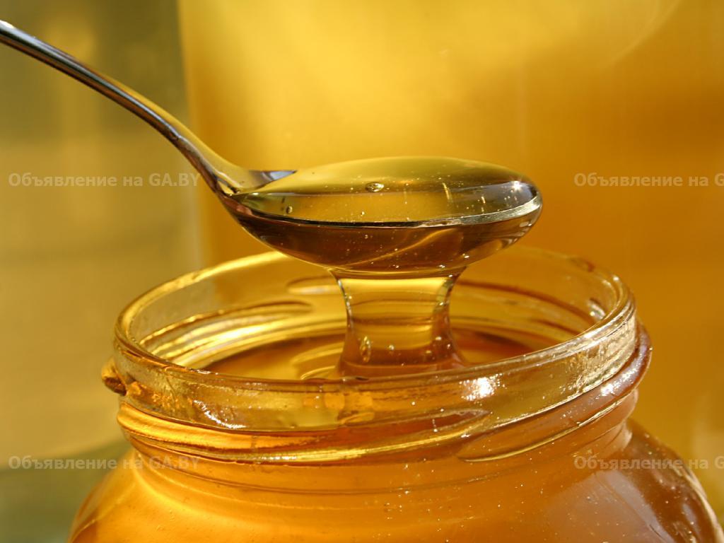 Продам Мед свежий,100% натуральный c домашней пасеки - GA.BY
