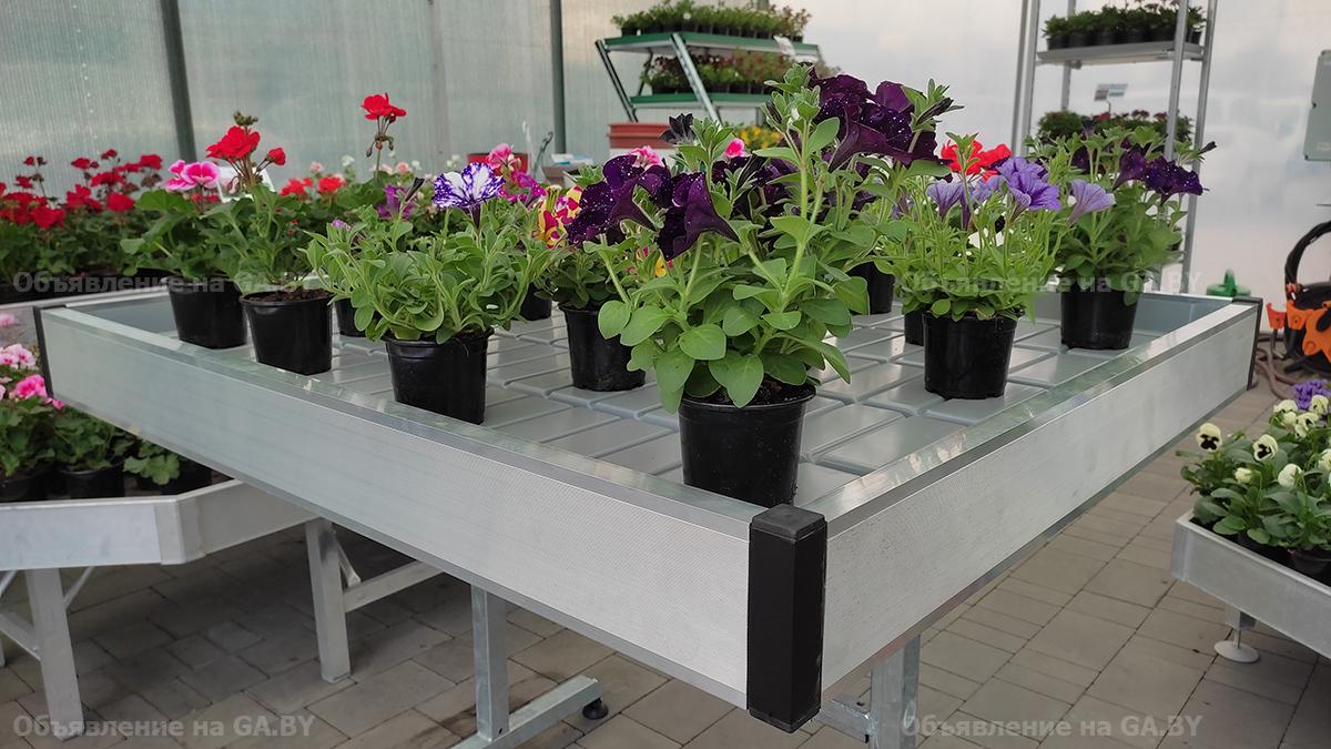 Выполню Вегетационные столы для выращивания рассады - GA.BY