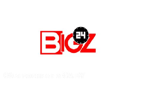 Продам Bigz24 – интернет магазин цифровой техники и электроники - GA.BY
