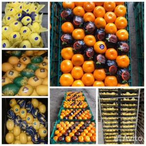 Продам Овощи/фрукты/цитрусы/салаты. Оптом Стамбул-Турция
