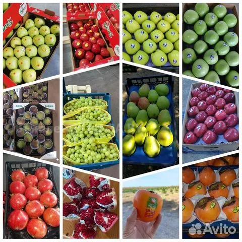 Продам Овощи/фрукты/цитрусы/салаты. Оптом Стамбул-Турция - GA.BY