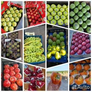 Продам Овощи/фрукты/цитрусы/салаты. Оптом Стамбул-Турция - GA.BY
