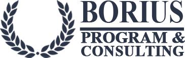 Выполню Юридическая компания Borius Program&Consulting - GA.BY