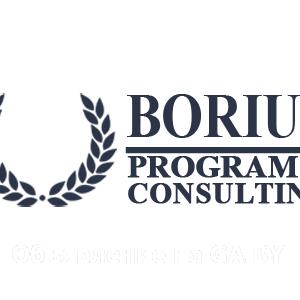Выполню Юридическая компания Borius Program&Consulting